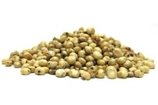 Link to Sorghum