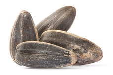 Jumbo Roasted Sunflower Seeds (In Shell, 50% Less Salt)