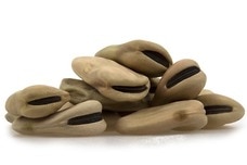 Link to Fava Beans (Giant)