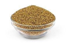 Link to Organic Alfalfa Seed