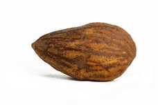 Organic Almonds (Raw, No Shell)