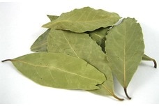 Link to Bay Leaves (Laurel Leaves)