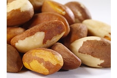 Organic Brazil Nuts (Raw, No Shell)