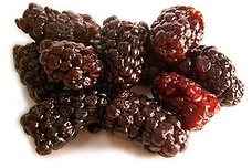 Blackberries