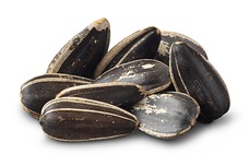 Jumbo Raw Sunflower Seeds (In Shell)