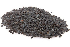 Link to Seeds