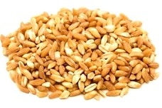 Link to Farro