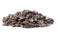 Sunflower Seeds