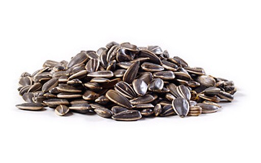 Buy wholesale Roasted/Salted Sunflower Seed - 12x100g