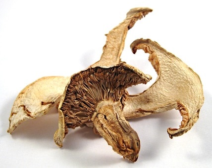 Dried Matsutake Mushrooms