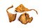 Dried Chanterelle Mushrooms - Cooking & Baking - Nuts.com