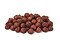 Roasted Hazelnuts / Filberts (Salted)
