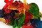 Gummy Dinosaurs