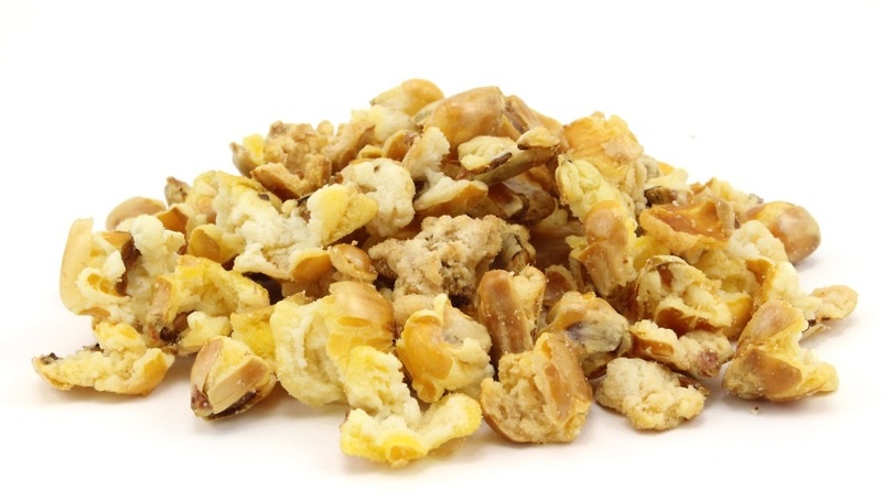 Are Roasted Corn Nuts Healthy Diet