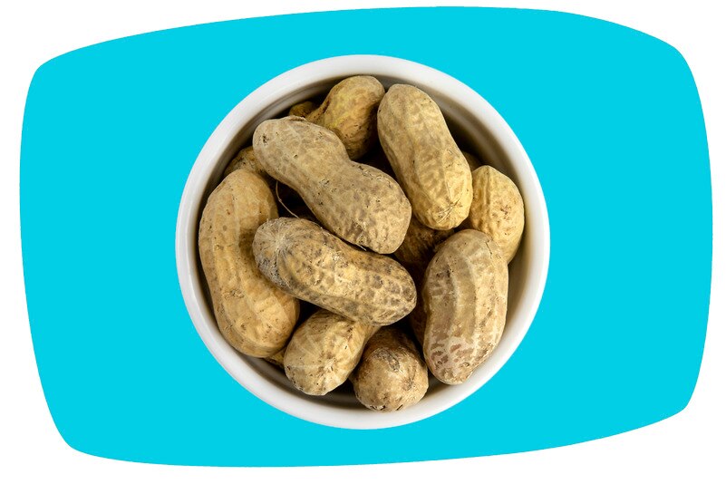 Jumbo Raw Peanuts in the Shell By the Pound