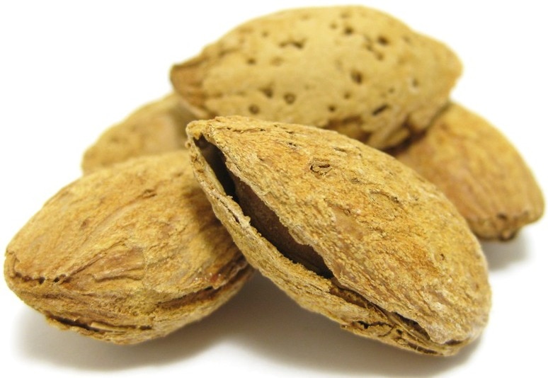 Salted, In Shell Roasted Almonds