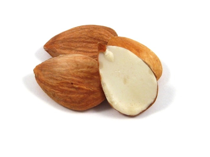 Organic Wild Apricot Kernels (Sweet)