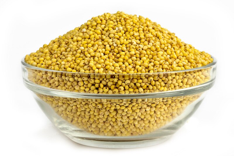 Organic Sprouted Millet