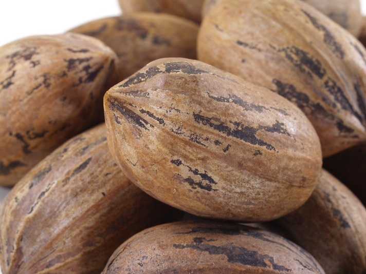 hard-shell-pecans-by-the-pound-nuts