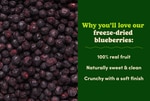 Image 3 - Freeze-Dried Blueberries photo