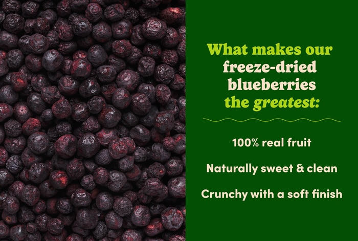 Freeze-Dried Blueberries photo
