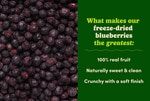Image 5 - Freeze-Dried Blueberries photo