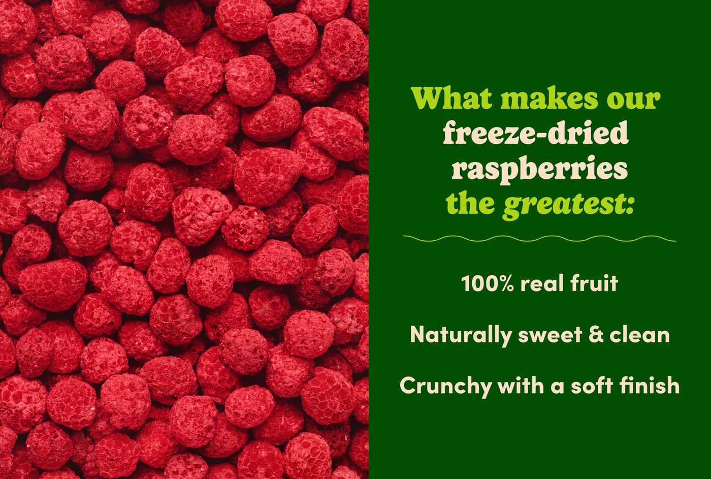Freeze-Dried Raspberries photo