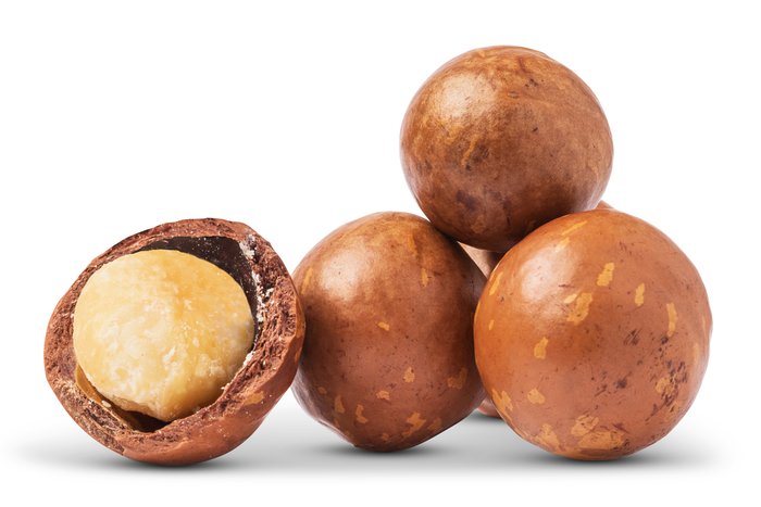 Macadamia Nuts (In Shell) photo