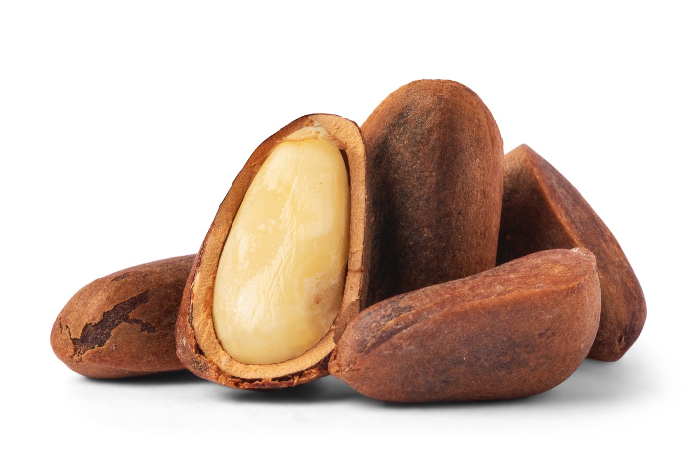 Raw Pine Nuts (In shell) for Birds photo