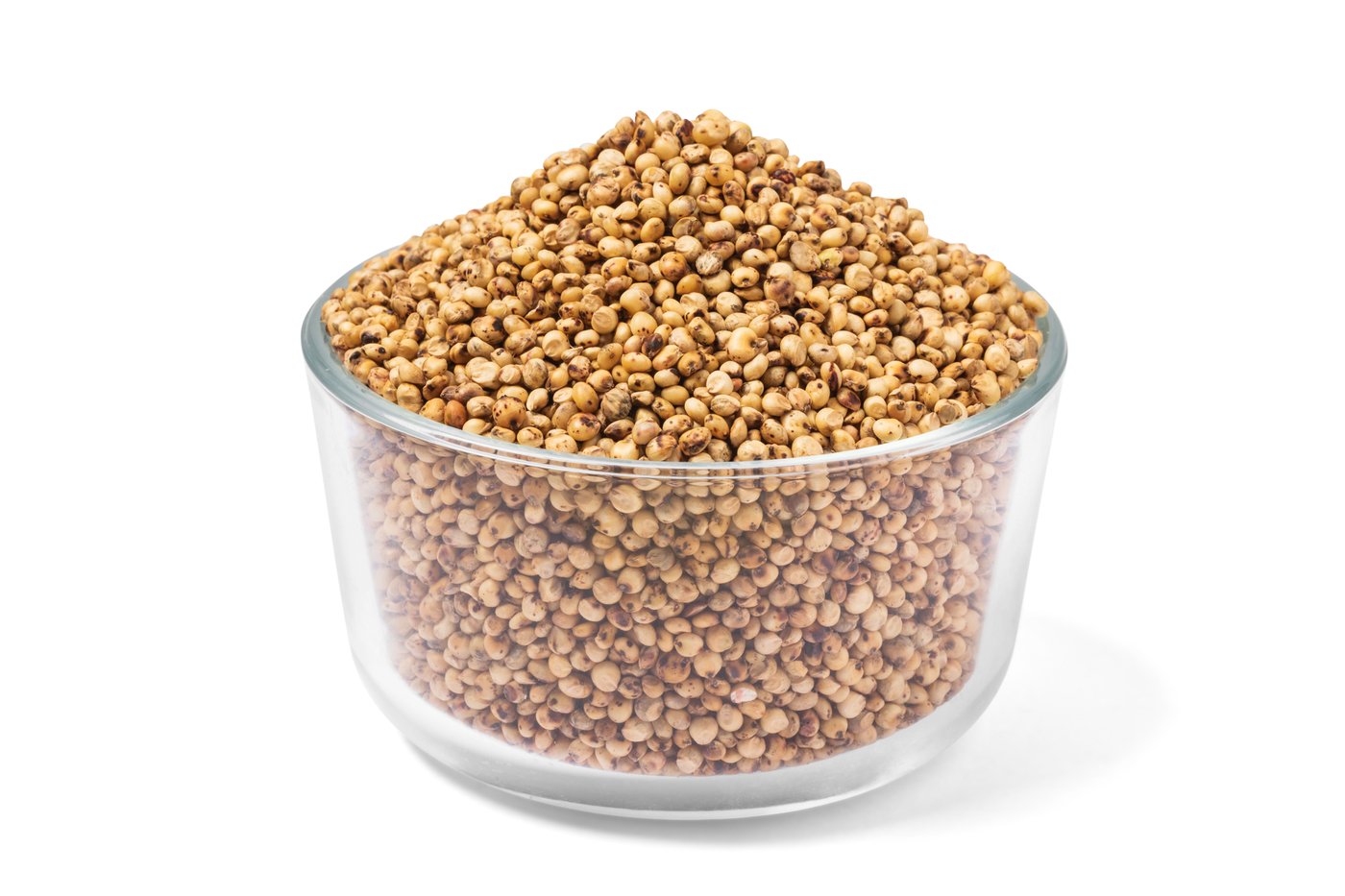 Organic Sprouted Sorghum photo
