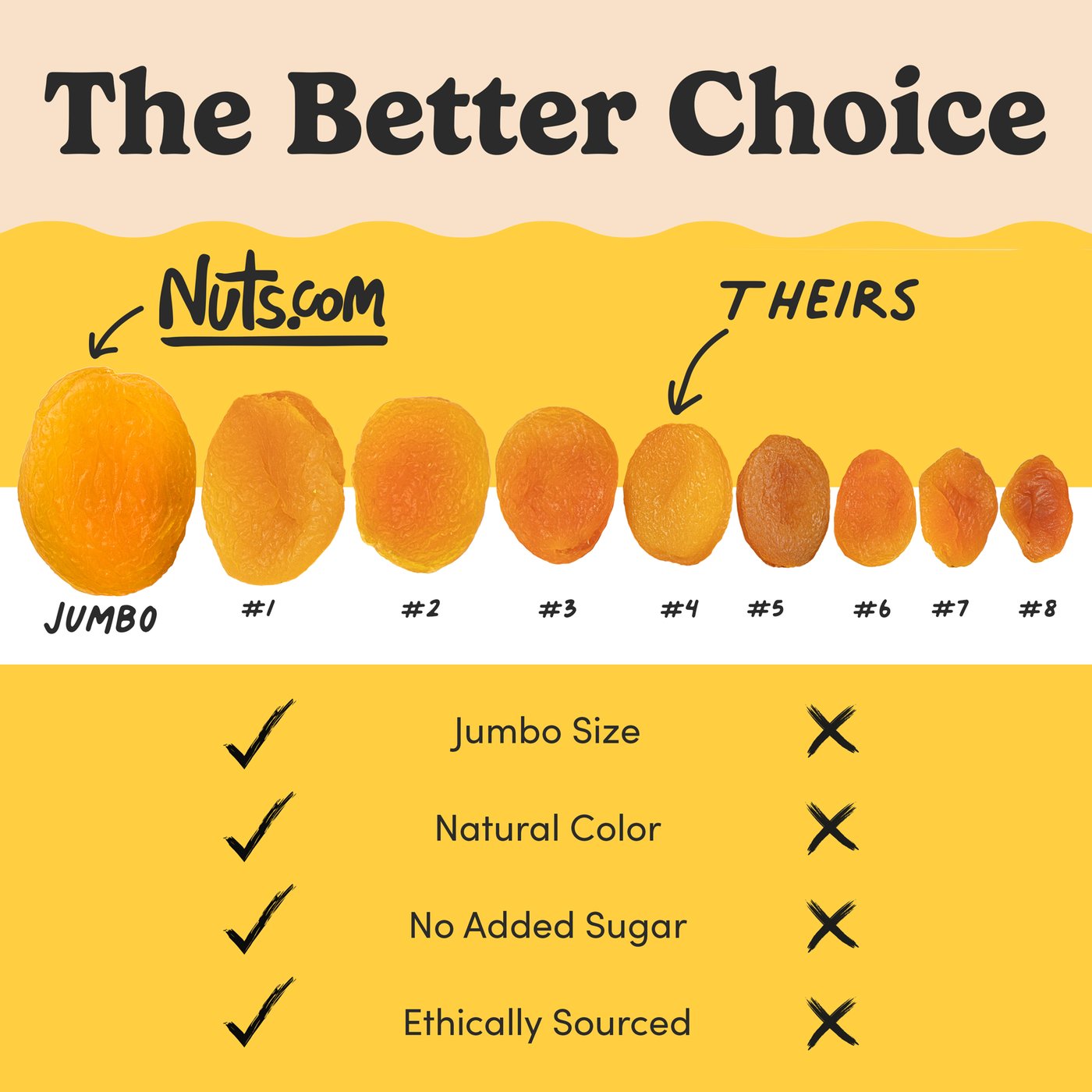 Dried Apricots photo