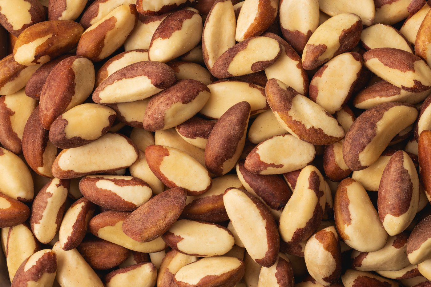 Raw Brazil Nuts (No Shell) photo