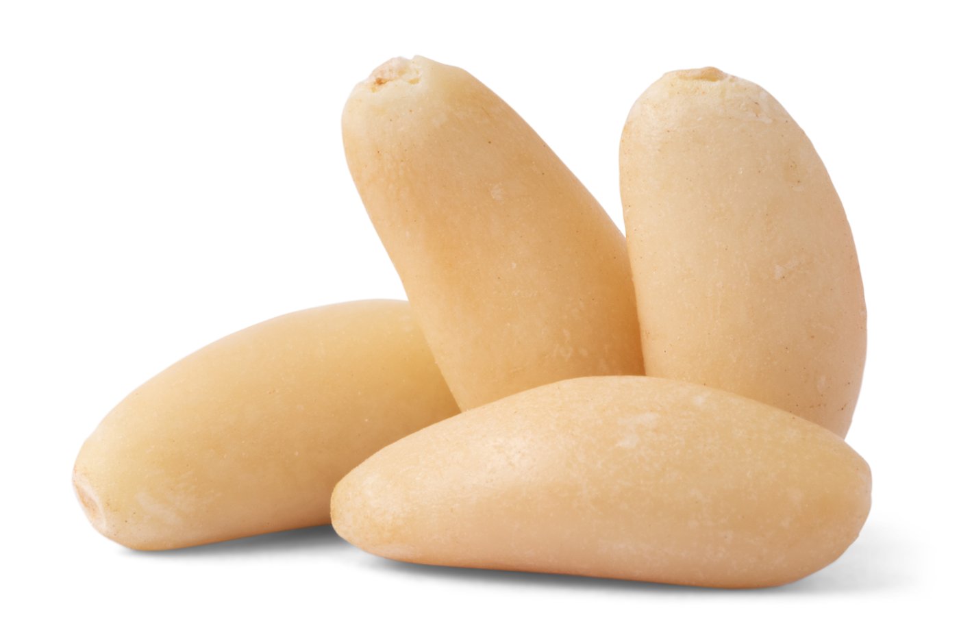 Mediterranean Pine Nuts (Pignolias) photo