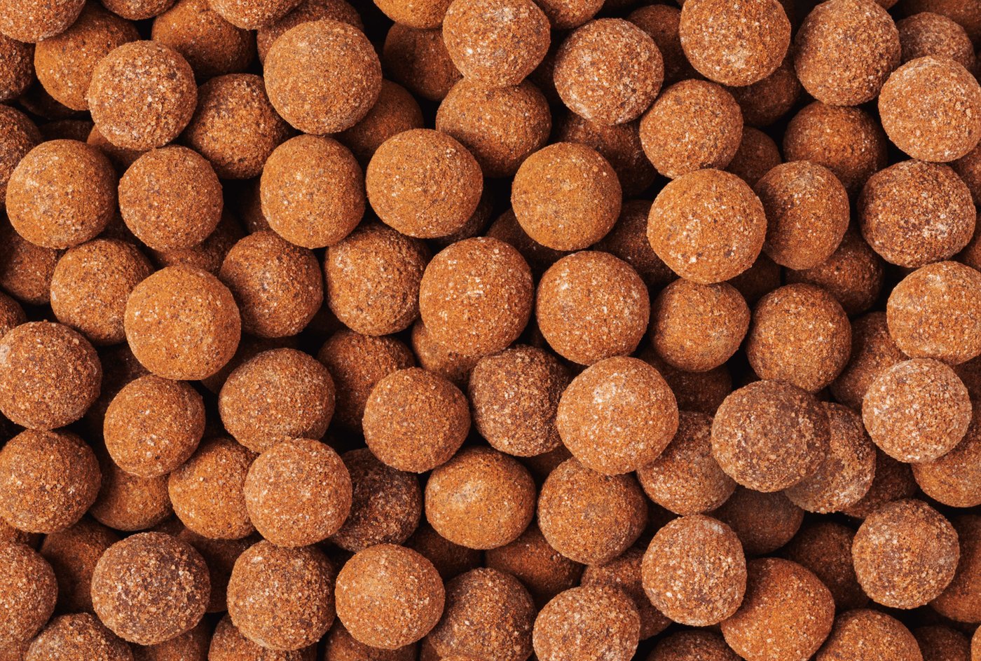 Mexican Hot Cocoa Bites photo