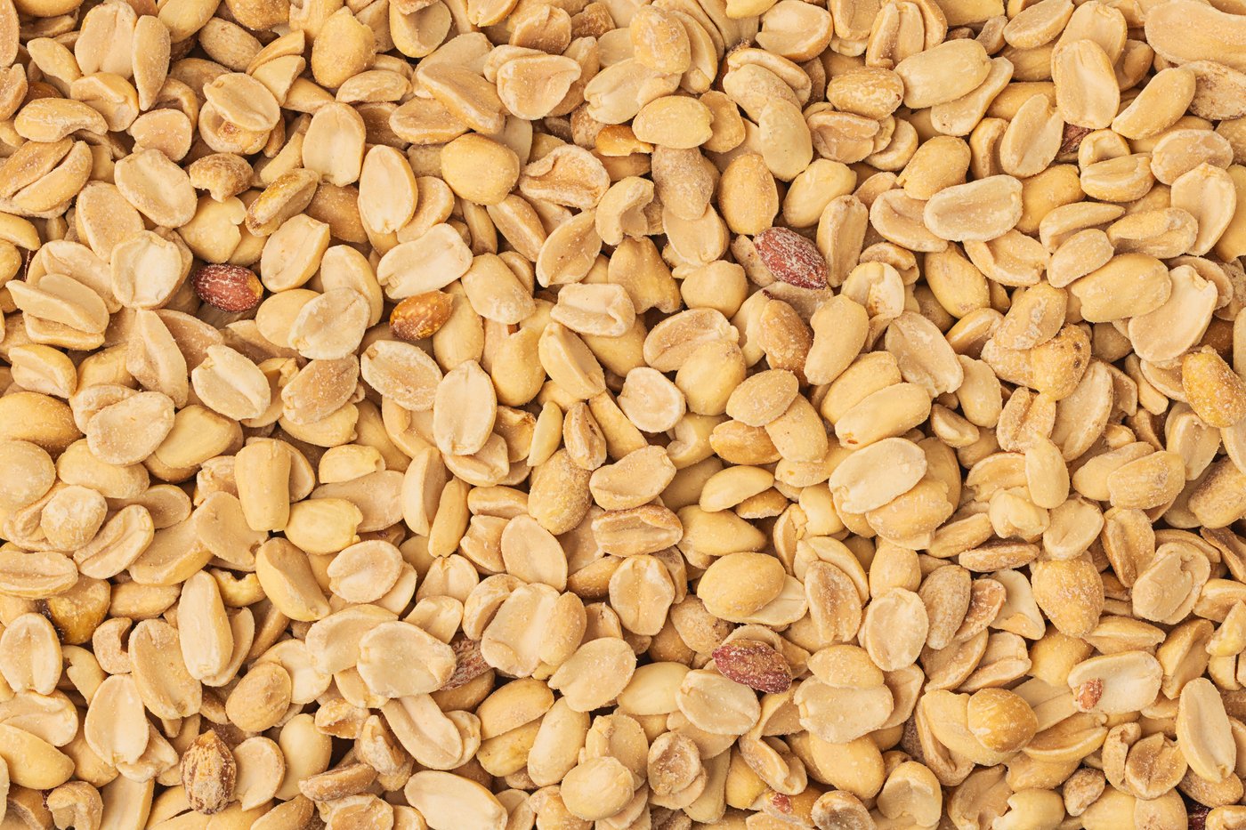 Organic Dry Roasted Peanuts (Unsalted, No Shell) photo