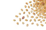 Image 4 - Organic Dry Roasted Peanuts (Unsalted, No Shell) photo