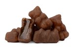 Image 1 - Milk Chocolate Gummy Bears photo