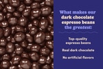 Image 3 - Dark Chocolate Covered Espresso Beans photo