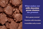 Image 3 - Milk Chocolate Pecan Clusters photo