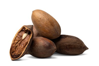 Organic Pecans (Raw, In Shell)