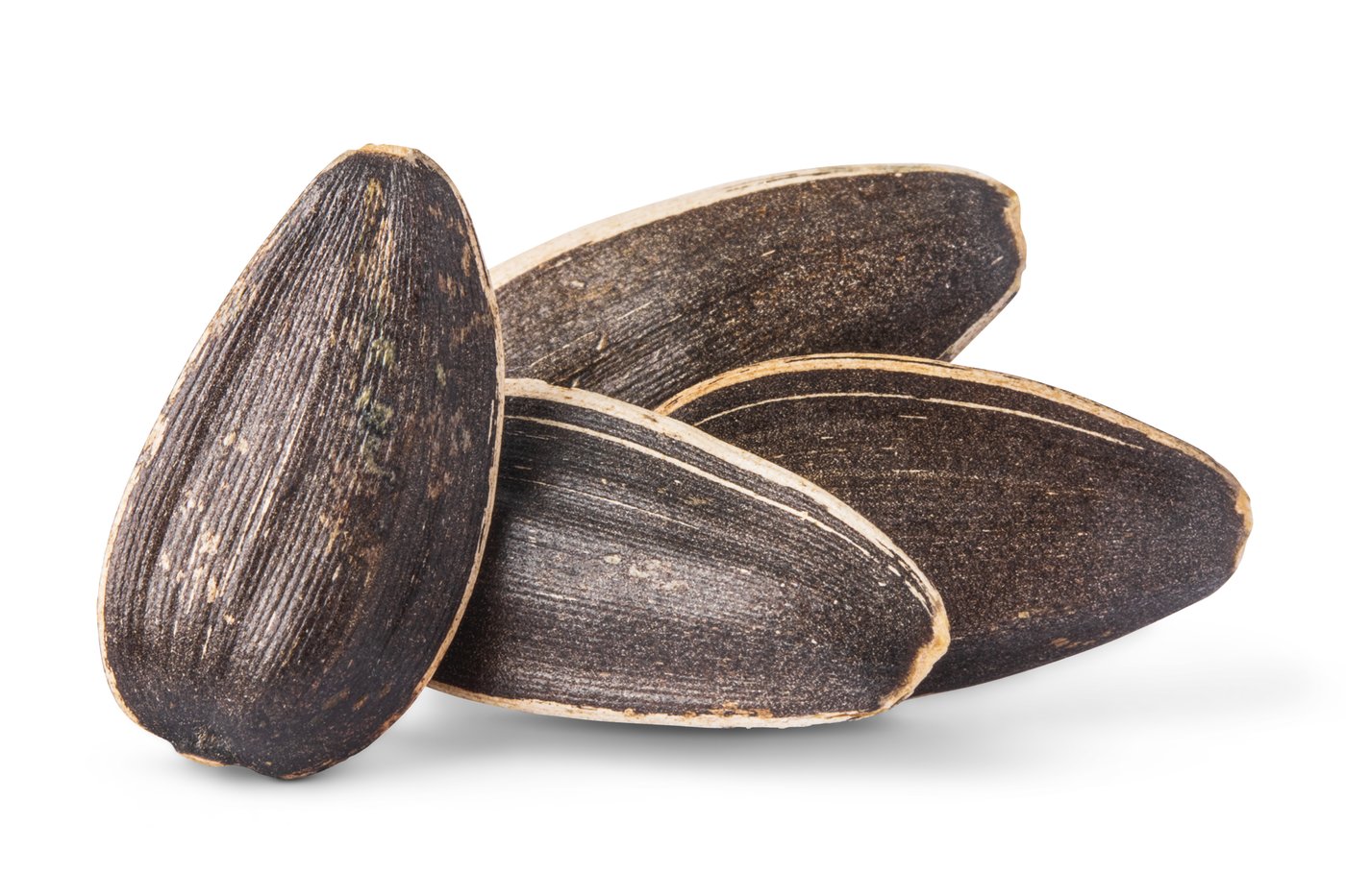 Jumbo Raw Sunflower Seeds (In Shell) photo
