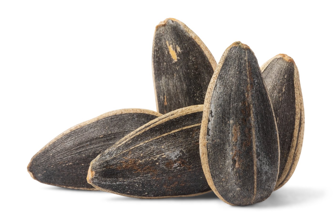 Jumbo Roasted Sunflower Seeds (Salted, In Shell) photo