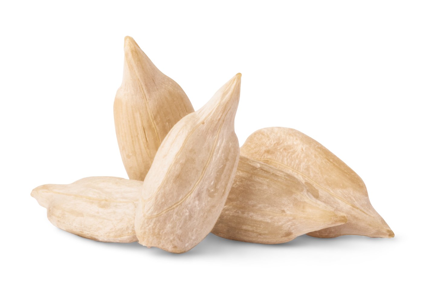 Organic Sunflower Seeds (Raw, No Shell) photo