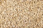 Image 2 - Organic Sunflower Seeds (Raw, No Shell) photo