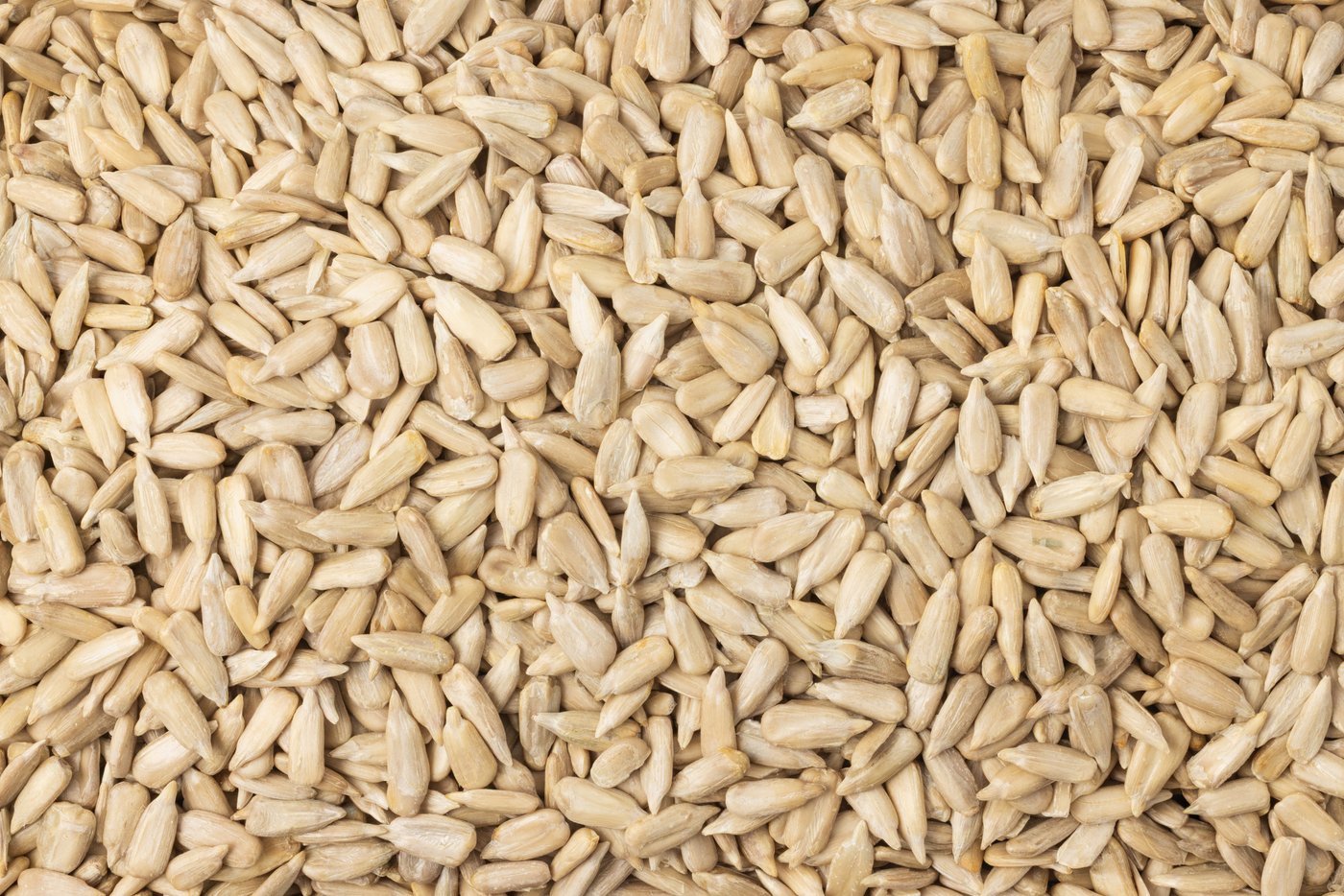 Organic Sunflower Seeds (Raw, No Shell) photo