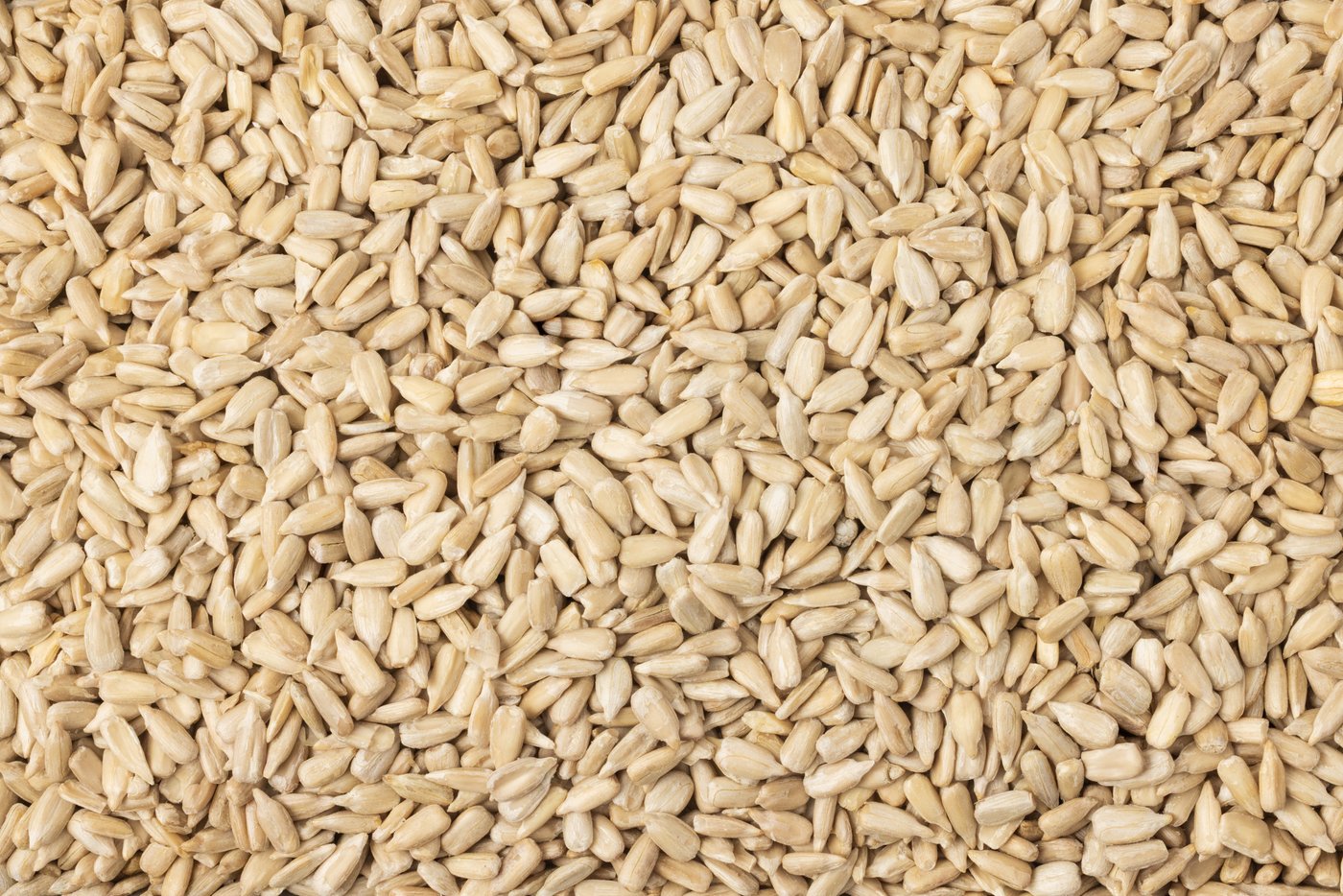 Organic Domestic Sunflower Seeds (Raw, No Shell) photo
