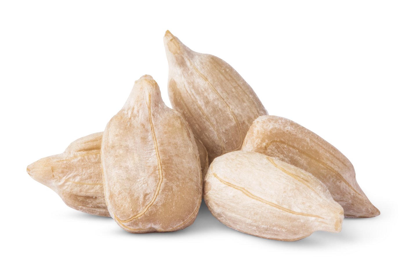 Organic Domestic Sunflower Seeds (Raw, No Shell) photo