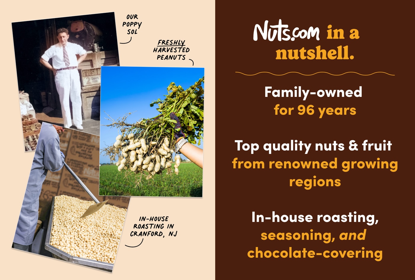 Trial Offer: Organic Fruit & Nut Box photo