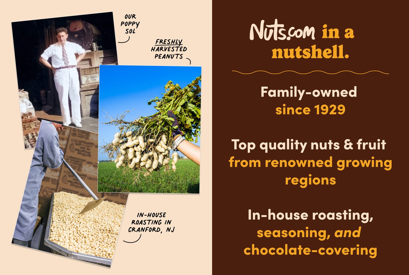 Trial Offer: Cheesy Snack Box photo