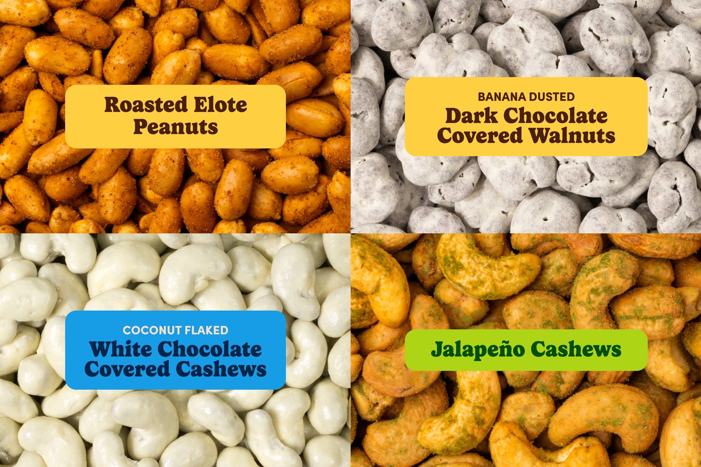 Bold Bites Bundle photo